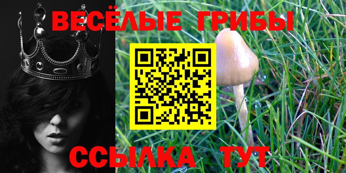 Псилоцибиновые грибы MAGIC MUSHROOMS Нарткала