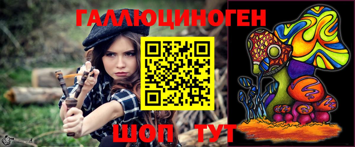 Нарткала  Галлюциногенные грибы Cubensis  Вход с VPN 